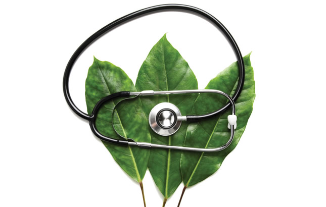 holističko iscjeljenje