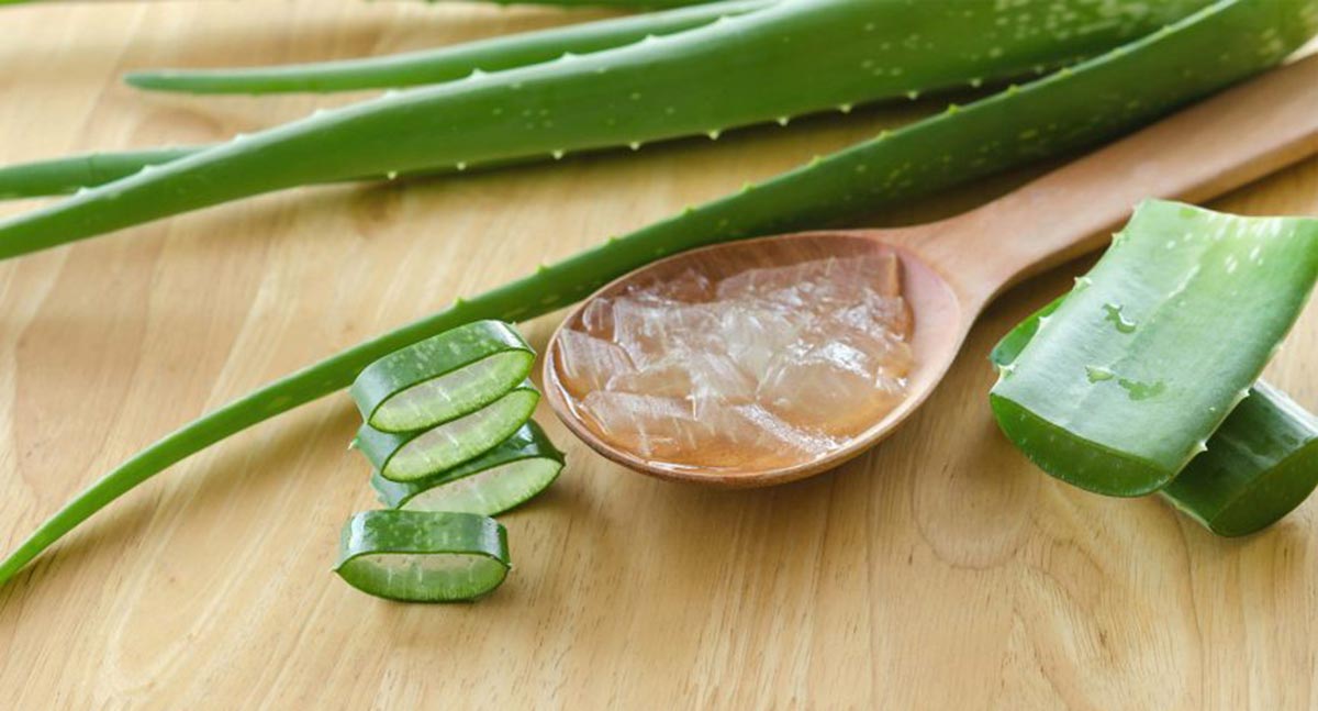 Kako napraviti gel od aloe vere Ljekovita svojstva gela od aloe Recept